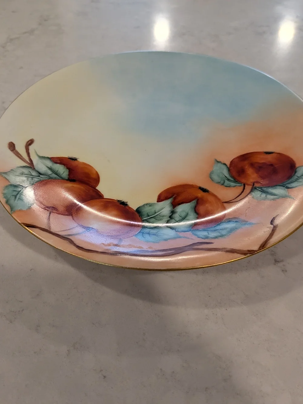 Haviland, Limoges 1930, France Hand-Painted In Peach and Sky Blue Plate 9